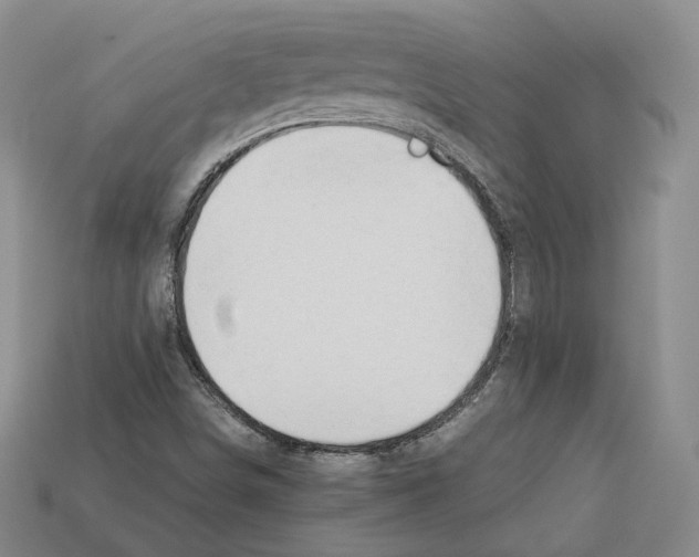 X0000112411498200909251445