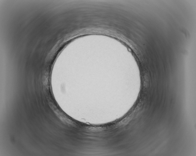 X0000112411499200909251445