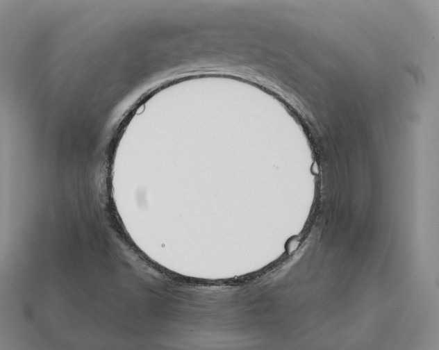 X0000112411502200909251445