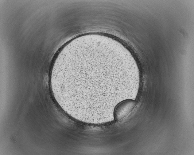 X0000112411505200909251445
