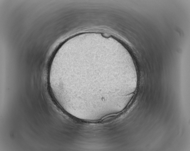 X0000112411506200909251445