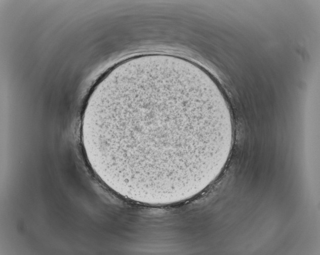 X0000112411507200909251445