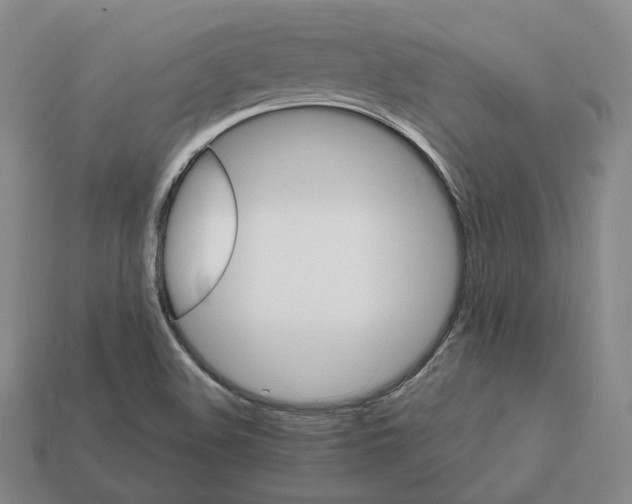 X0000112411508200909251445