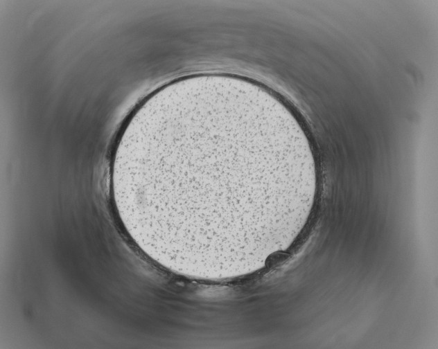 X0000112411509200909251445