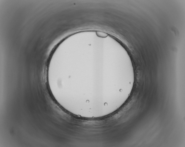X0000112411510200909251445