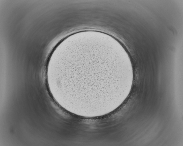 X0000112411511200909251445