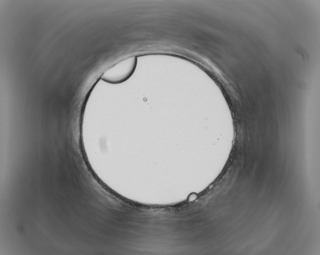 X0000112411512200909251445