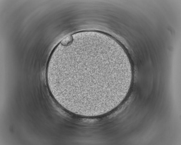 X0000112411513200909251445