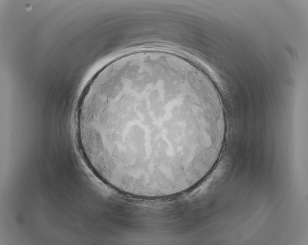 X0000112411514200909251445