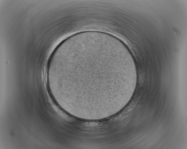 X0000112411515200909251445