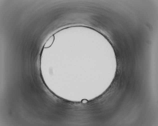 X0000112411516200909251445