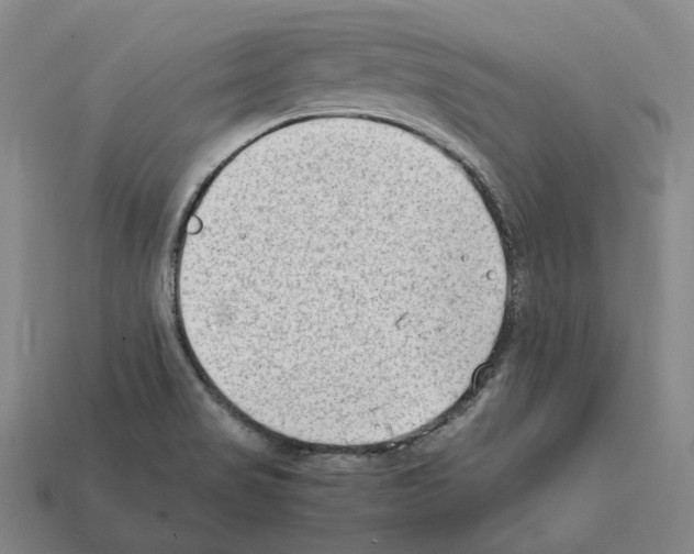 X0000112411517200909251445