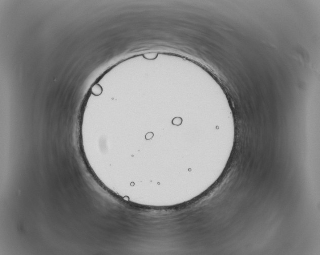 X0000112411518200909251445