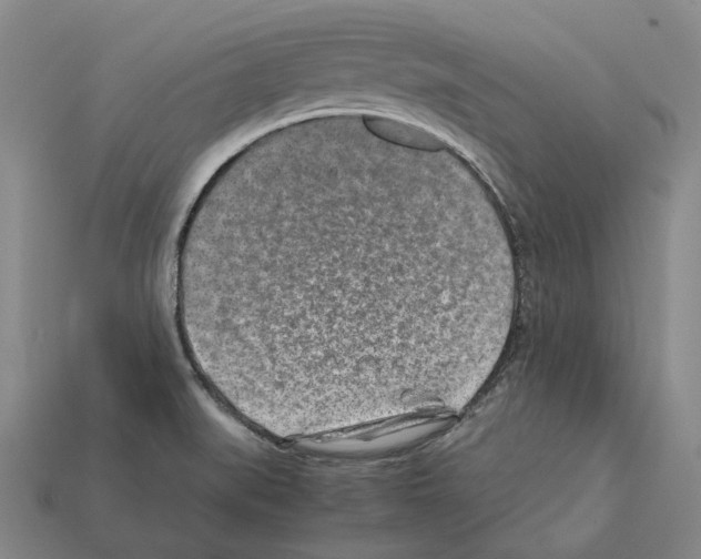 X0000112411519200909251445