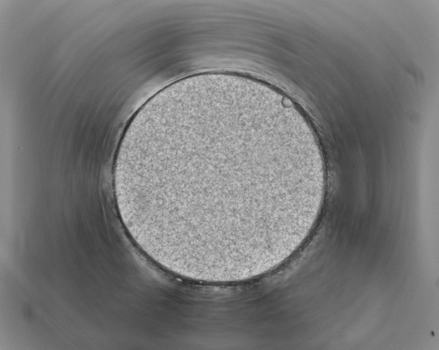 X0000112411521200909251445