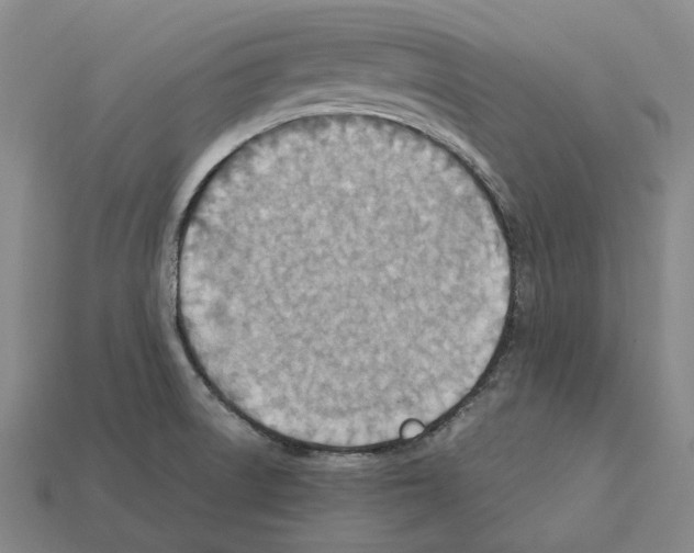 X0000112411522200909251445