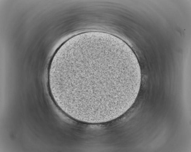 X0000112411523200909251445