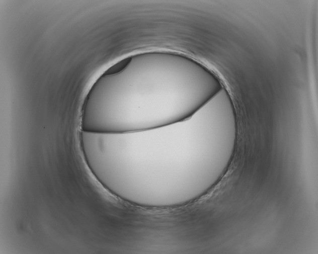 X0000112411524200909251445