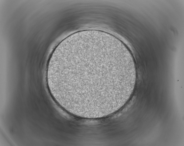 X0000112411525200909251445
