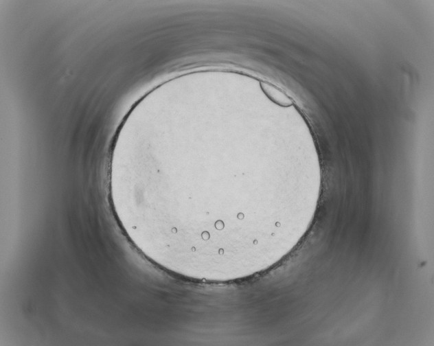 X0000112411526200909251445