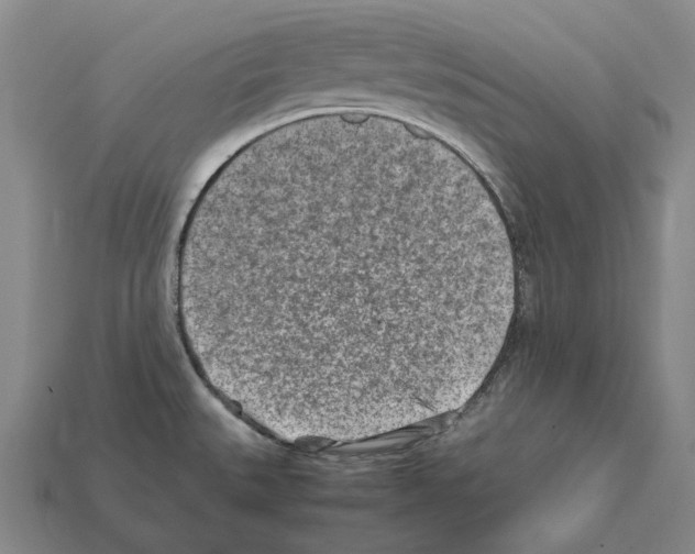X0000112411527200909251445