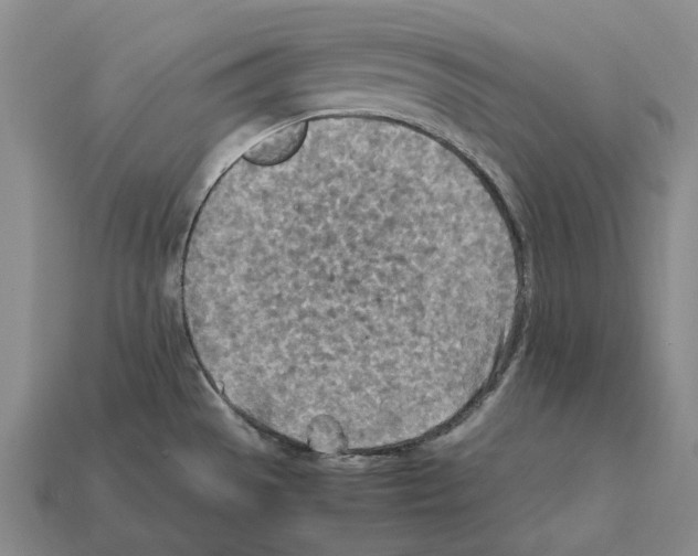 X0000112411529200909251445
