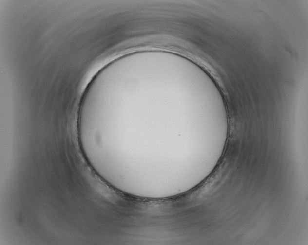X0000112411530200909251445