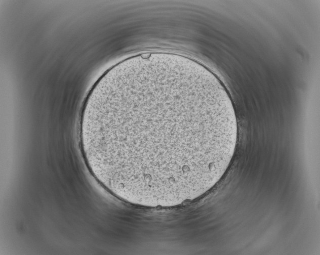 X0000112411531200909251446