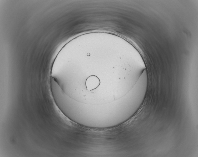 X0000112411532200909251446
