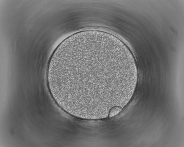 X0000112411533200909251446