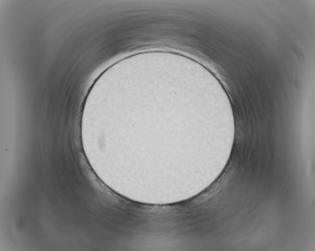 X0000112411534200909251446
