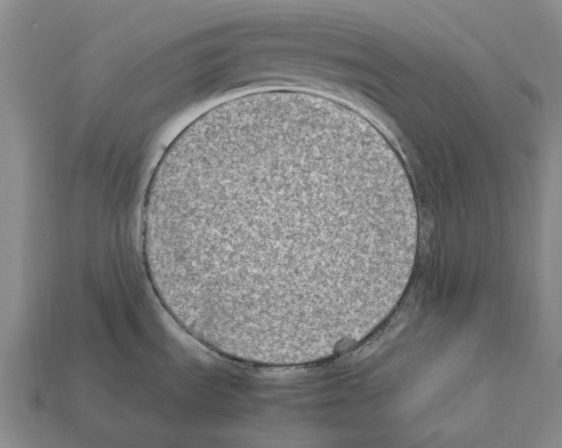 X0000112411535200909251446