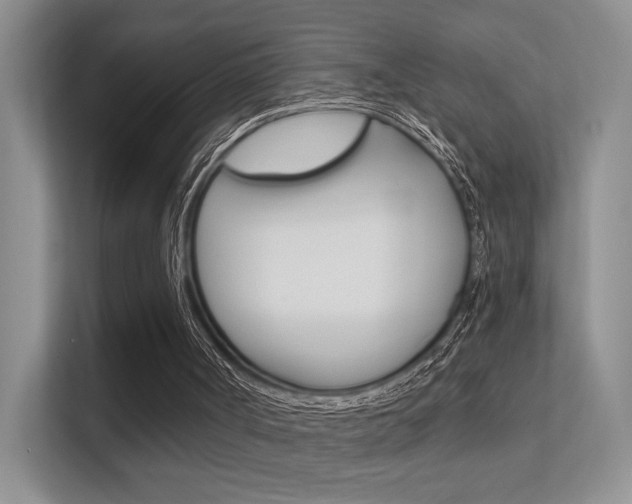 X0000112420002200908141055