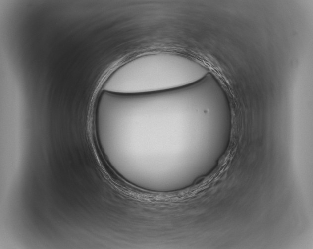X0000112420003200908141055
