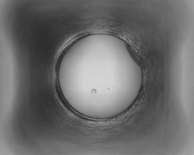 X0000112420005200908141055