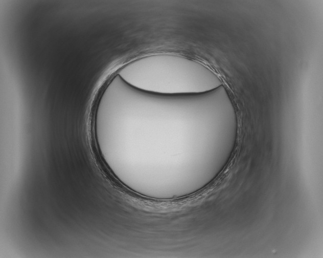 X0000112420006200908141055