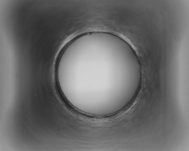 X0000112420008200908141055