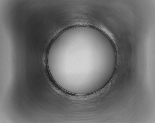 X0000112420009200908141055