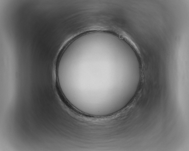 X0000112420011200908141055
