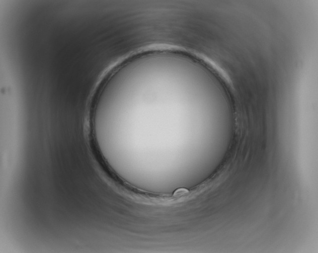 X0000112420015200908141054