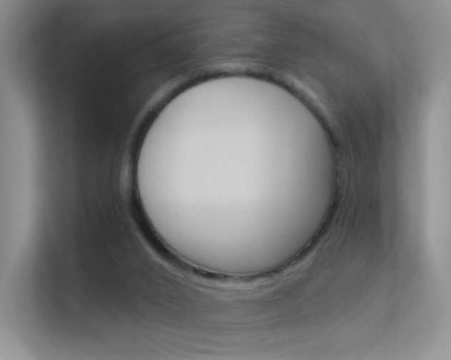 X0000112420016200908141054