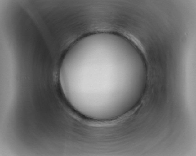 X0000112420017200908141054