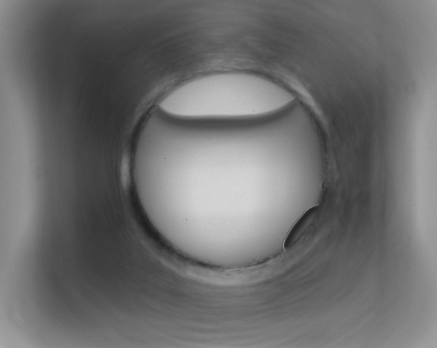 X0000112420019200908141054