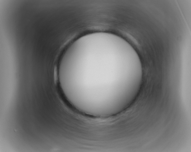 X0000112420020200908141054