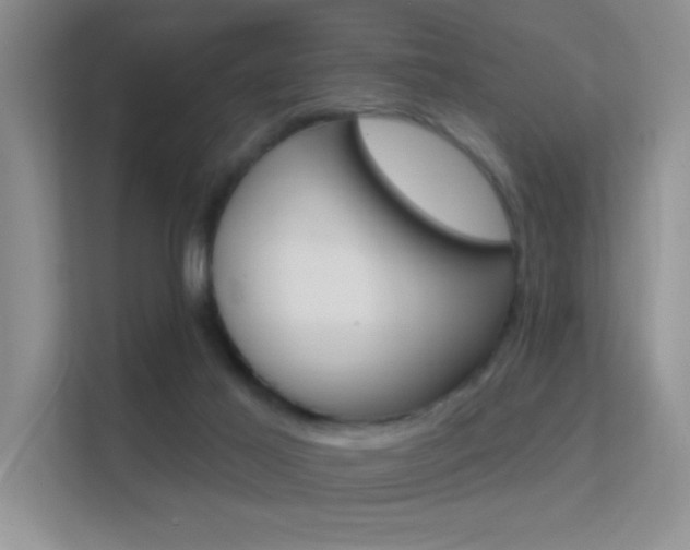 X0000112420021200908141054