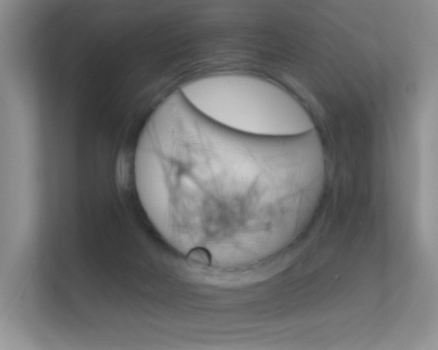X0000112420026200908141054