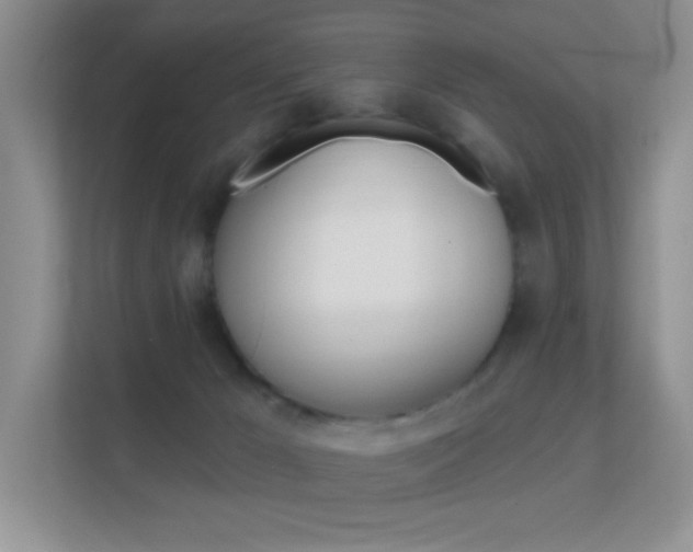 X0000112420029200908141054