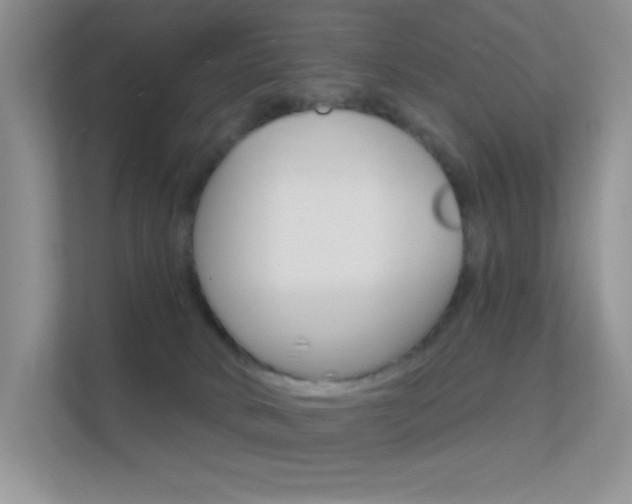 X0000112420034200908141054