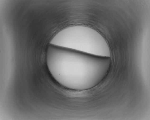 X0000112420036200908141054