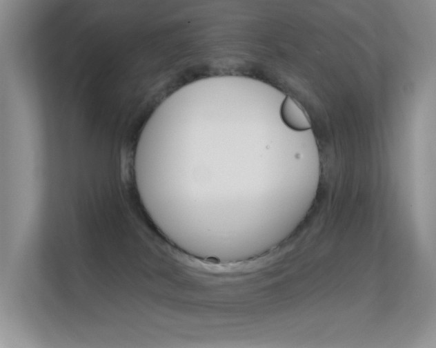 X0000112420038200908141054